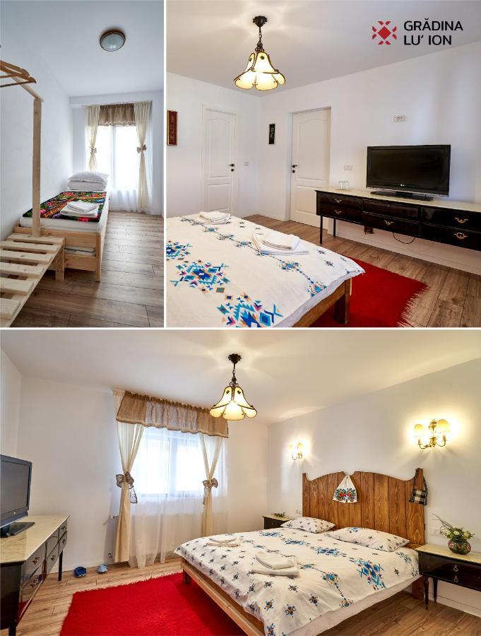 Gradina Lu' Ion "A Home Away From Home" (Adults Only) Vişeu de Sus 外观 照片