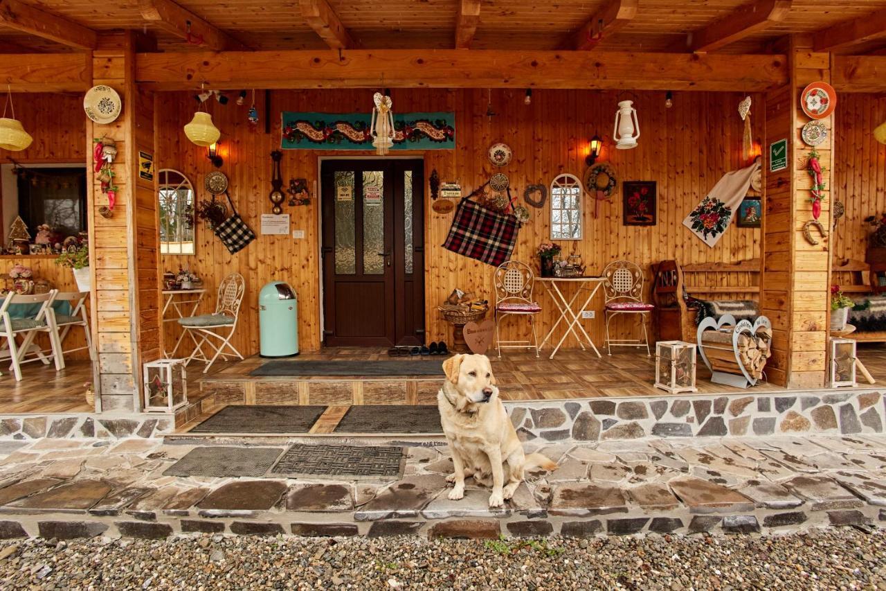 Gradina Lu' Ion "A Home Away From Home" (Adults Only) Vişeu de Sus 外观 照片