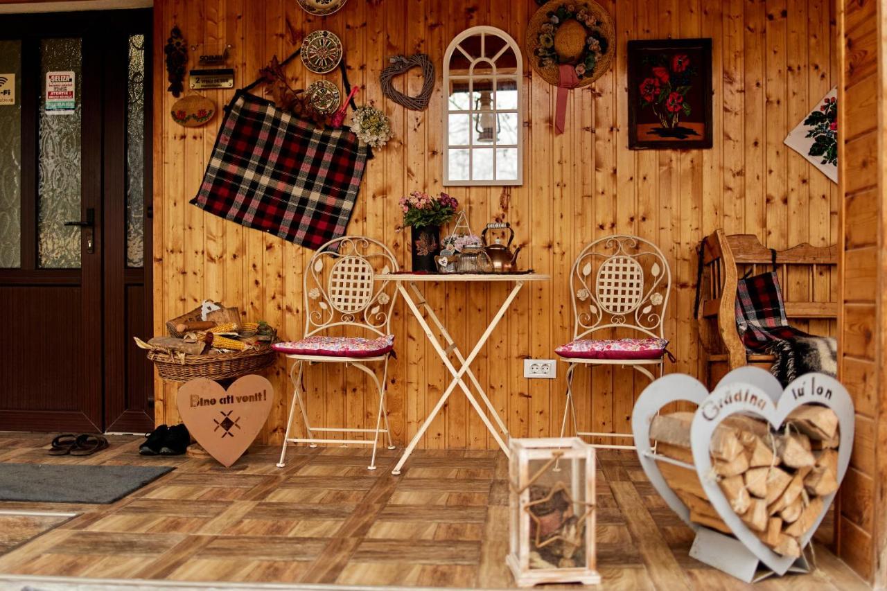 Gradina Lu' Ion "A Home Away From Home" (Adults Only) Vişeu de Sus 外观 照片