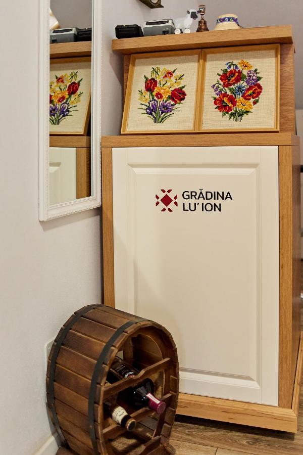Gradina Lu' Ion "A Home Away From Home" (Adults Only) Vişeu de Sus 外观 照片