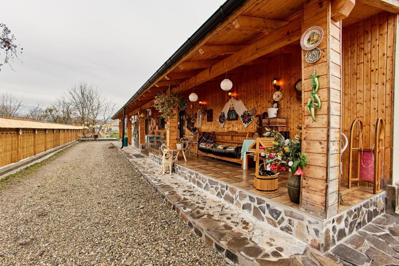 Gradina Lu' Ion "A Home Away From Home" (Adults Only) Vişeu de Sus 外观 照片