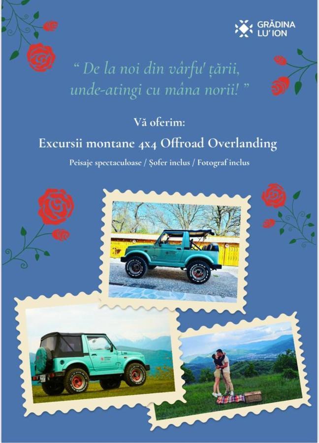 Gradina Lu' Ion "A Home Away From Home" (Adults Only) Vişeu de Sus 外观 照片